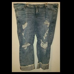 Torrid Jeans